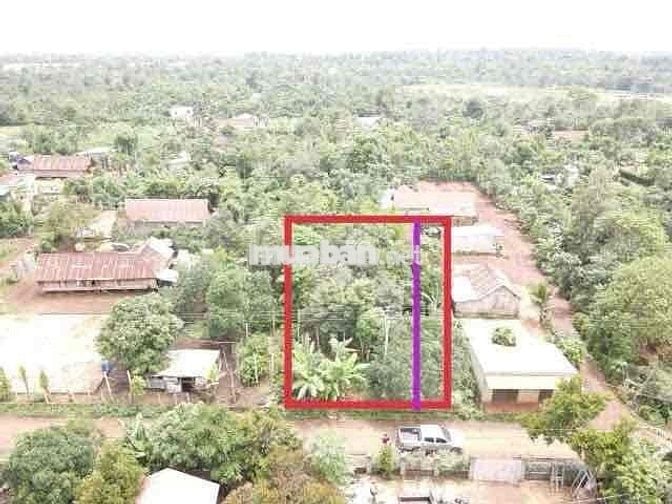 BÁN GẤP LÔ ĐẤT CƯMGAR – 5×41M – GIÁ CHỈ 219 TRIỆU!  🌳 ĐẸP – RẺ – THỔ C