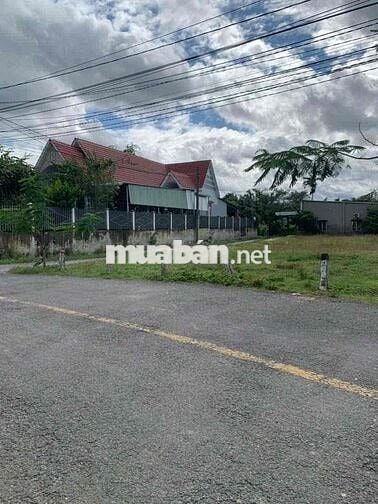 Đất Trung Tâm Hậu Nghĩa Kế Bên Vinhomes