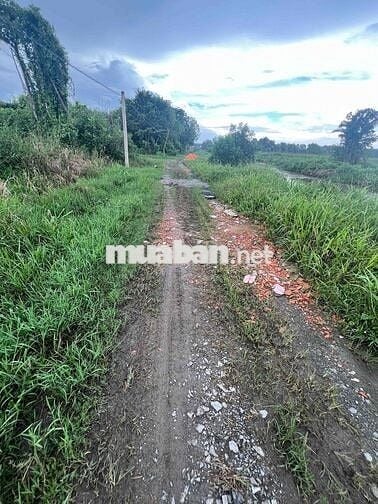 Bán đất Đường An Tây 071, trong khu Tái định cư Phú An , TPHCM