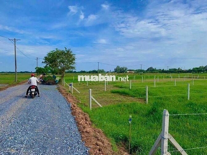 Bán đất 530m² giá 900 triệu đường Tỉnh Lộ 7 – gần Chợ Thái Mỹ & UBND