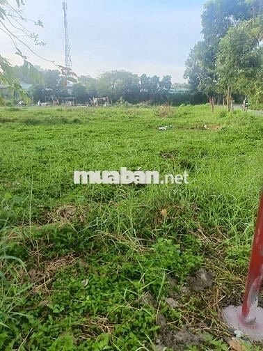 Siêu Phẩm Gốc 2 Mặt Tiền Đường Nhựa Bùi Văn Sự