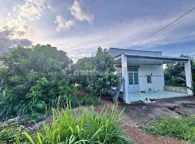 Chủ cần bán lô đất 3400m2 ngang 50 thổ cư 300m2 có nhà sẵn trên đất