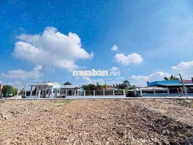 Đất sổ đỏ 134m2 thổ cư, ngay trung tâm  Thị trấn Tân Trụ.