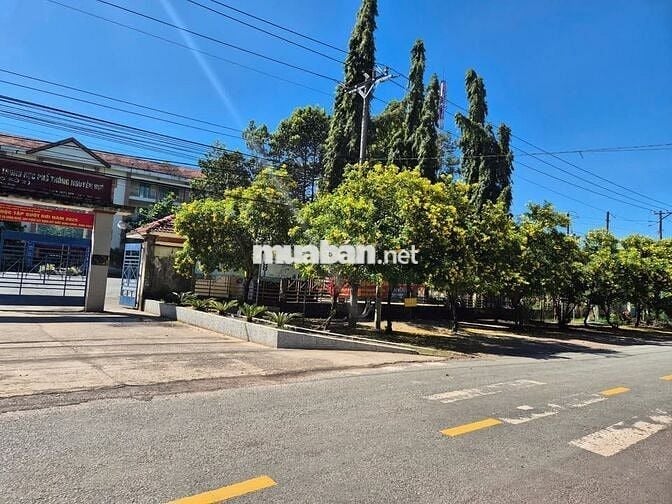 Bán Đất Có Trồng Cây Ăn Trái Sẵn