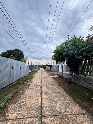 Thổ Cư Sổ riêng 5x28 Măng Cụt chợ Bình Lộc Long Khánh