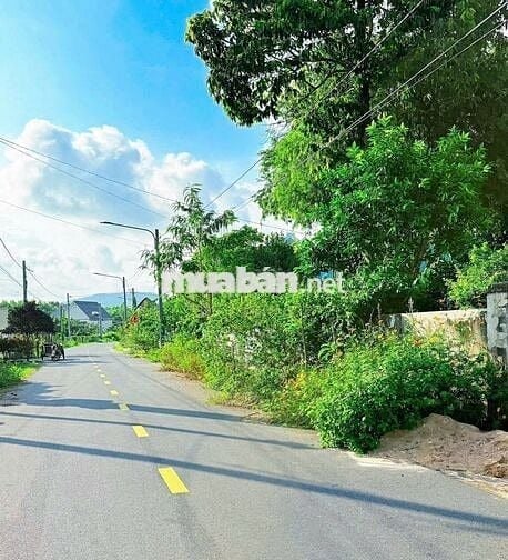 🌊 ĐẤT TRUNG TÂM THỊ TRẤN PHƯỚC HẢI – GẦN BIỂN – KHU DÂN CƯ GIÁ 980Tr