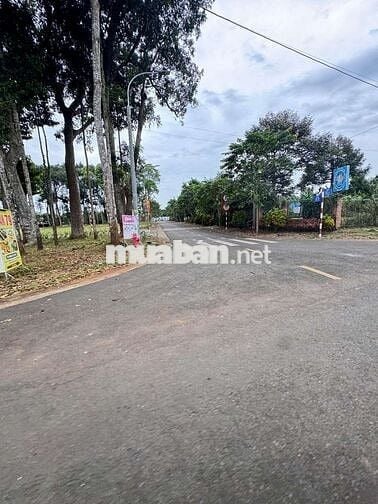 Bán đất thổ cư phường Bình lộc.