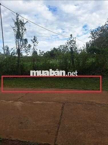 13 x32 mặt tiền đường bê tông khu dân cư