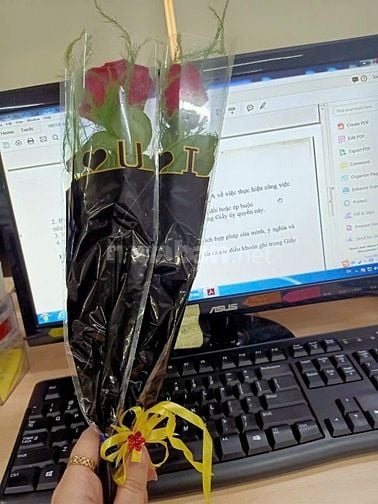 CÔNG TY CẦN TUYỂN NHÂN VIÊN KẾ TOÁN 