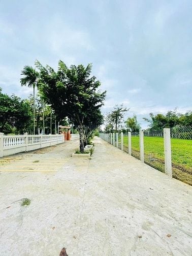 SẴN LÔ NHÀ VƯỜN 186M2, ĐIỆN HỒNG- ĐIỆN BÀN | GIÁ CHỈ 760 TRIỆU