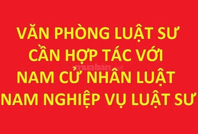 VP Luật Sư cần hợp tác với nam cử nhân luật hoặc nam nghiệp vụ luật sư
