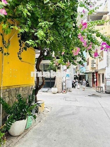 Nguyên căn 35m2 HXH TRẦN HƯNG ĐẠO GIÁP Q1