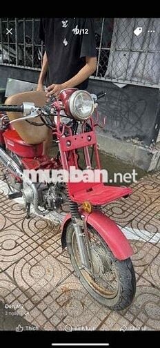 Xe máy Cúp úp MD màu Đỏ