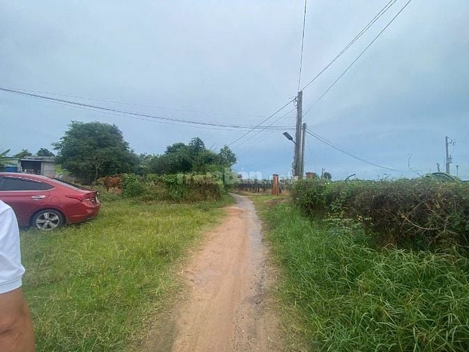 Bán Gấp Lô Đất Đẹp Ngang 10x50 Tại Tân Tiến LaGi Giá 1 Tỷ Siêu Rẻ