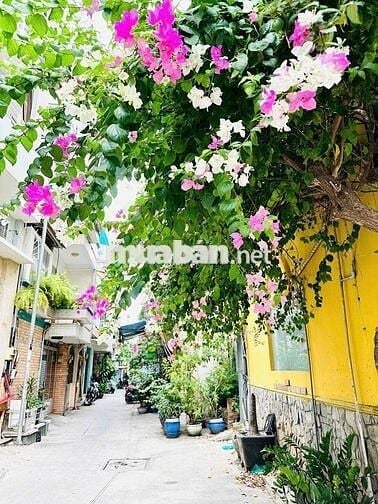 CĂN HỘ BAN CÔNG TRẦN HƯNG ĐẠO LẦU 1- CÓ CỬA SỔ