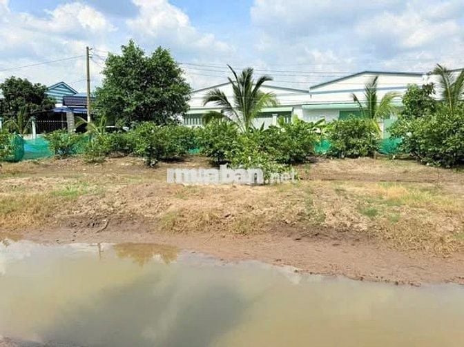 Bán đất ngay sát đường lên cao tốc Trung Lương - Mỹ Thuận