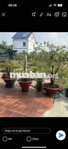 Bán nhà vườn góc hai mặt tiền, diện tích 2250 mét