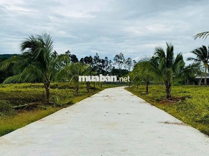 Cần bán lô đất 500m² sổ riêng sát trung tâm