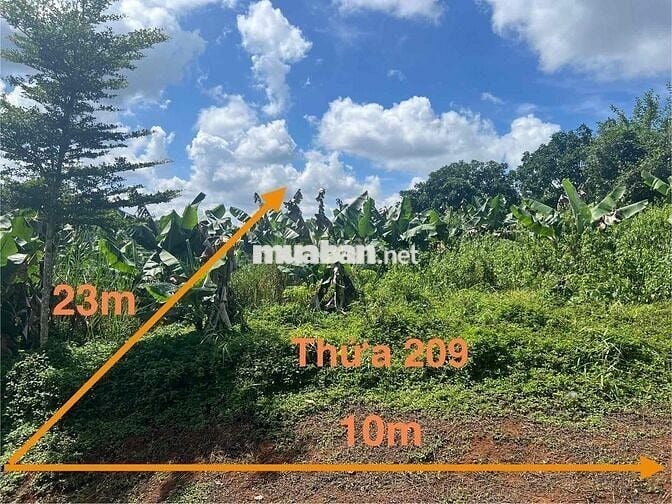 Ngân hàng thanh lý 2 lô đất tại xã Lộc Đức, Bảo Lâm, Lâm Đồng