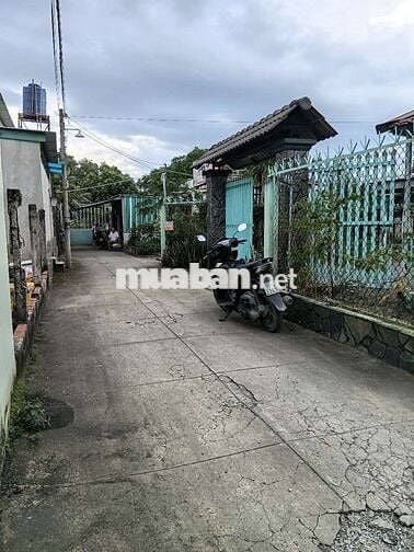 Bán nhà Vườn 10 x 39 hẻm xe hơi - Gần chợ Hóc Môn