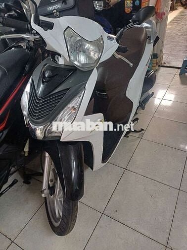 Xe Vision chất ngon