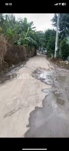 Bán đất CLN hẻm xe tải giá tốt nhất