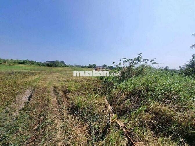 BÁN 7 LÔ ĐẤT LIỀN KỀ, THUẬN HÒA, TX. GÒ CÔNG – TIỀN GIANG