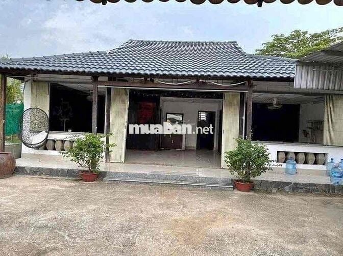 Cho Thuê Biệt Thự vườn 500M Chánh Nghĩa - TDM  Bình Dương