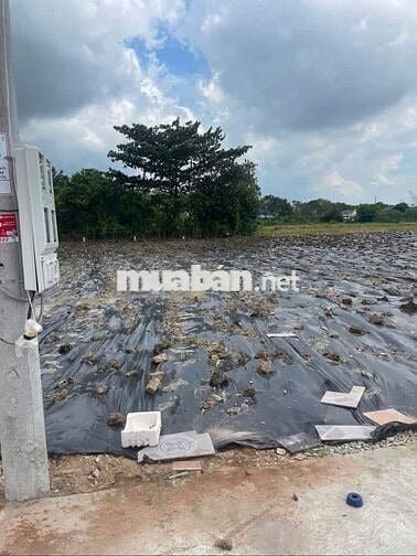 202m2 thổ cư ,đất đô thị gần KCN Gia Thuận, 490,8tr ,bao sang tên ,oto