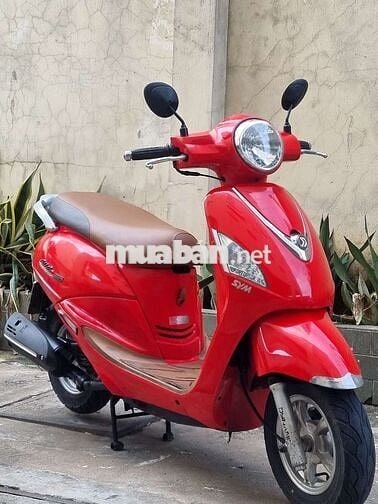 SYM Elizabeth Fi. xe nhà sử dụng