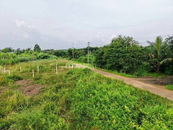 Bán lô đất vườn có thổ cư sát Sân bay Long Thành 680 triệu