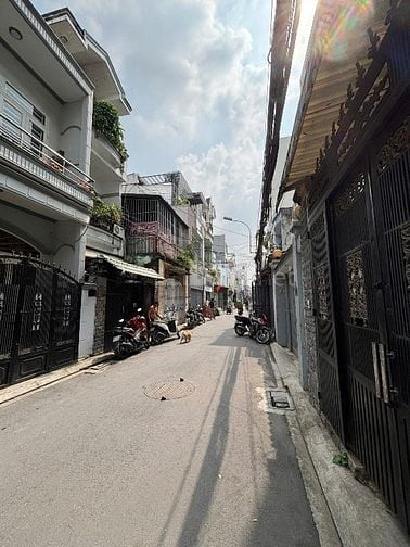 Tiện xây mới CHDV, Huỳnh Tấn Phát thông Ecogreen, Hẻm ô tô, 6 x 20m