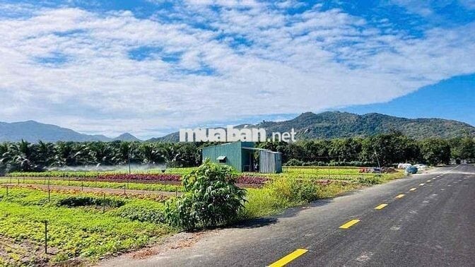 LÔ GÓC THỊ TRẤN PHƯỚC HẢI - VIEW NÚI SIÊU ĐẸP - GẦN BIỂN PHƯỚC HẢI