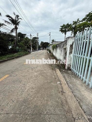 cho thuê 500mv đất có 250mv kho Q12 - Giá: 20tr/th