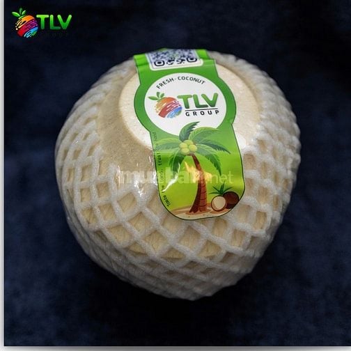 Dừa các loại: dừa tươi, dừa khô, dừa gọt kim cương