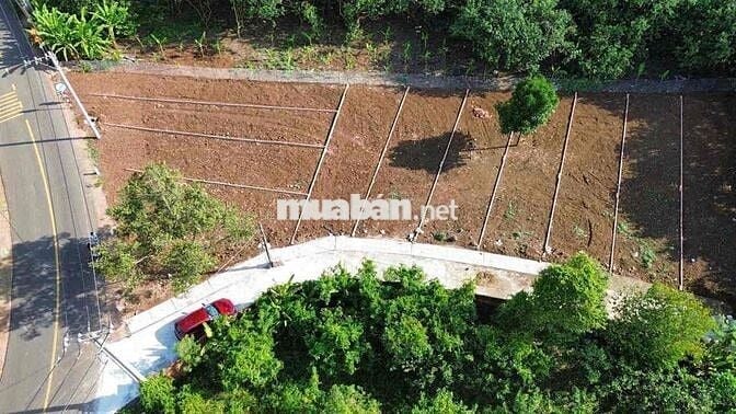 BÁN ĐẤT SÔNG TRẦU ẤP 3 THÔNG RA KCN BÀU XÉO TRẢNG BOM