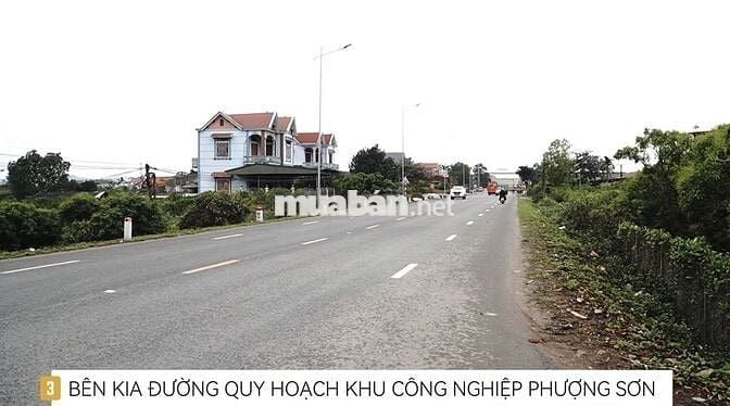 Bán lô đất 5000m tại Phượng Sơn Bắc Giang