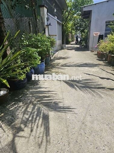 Bán đất Thạnh Lộc 49 sát chợ đường