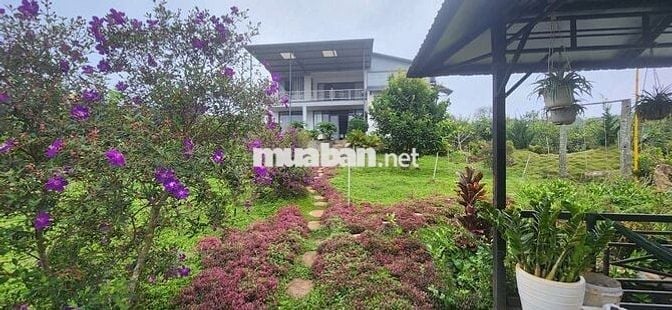 chính chủ cần bán gấp nhà vườn 6.000m2 trong khu du lịch sinh thái