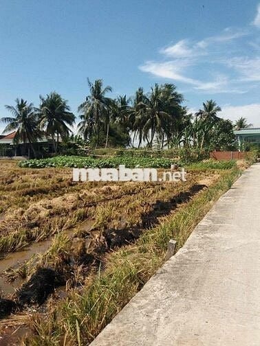 Bán gấp đất full thổ cư GIÁ RẺ 550tr