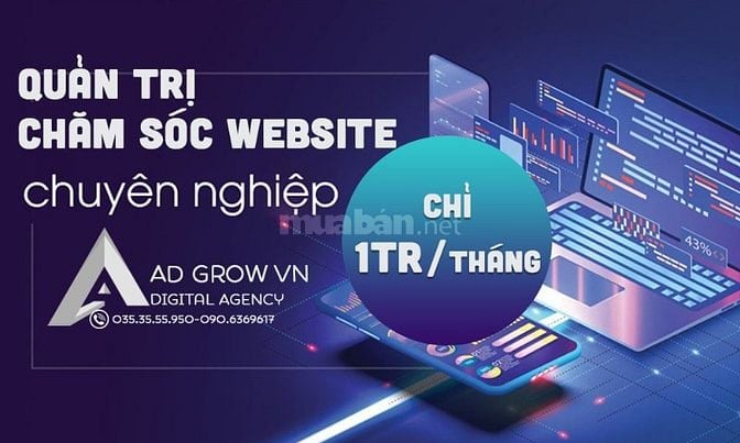 Quản trị web chăm sóc web tăng truy cập doanh thu chỉ 1tr/th