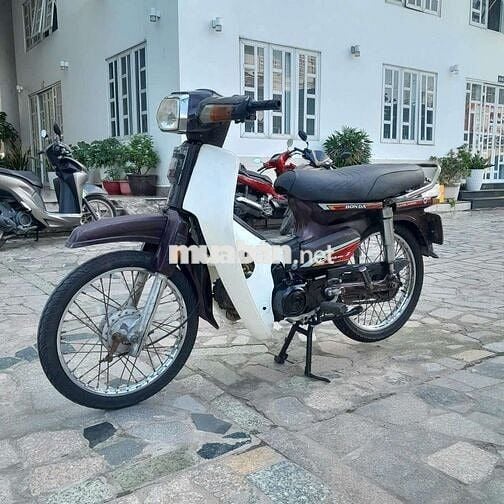 Xe dream Hàn Quốc