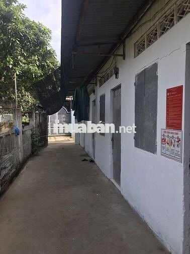 Cho thuê phòng trọ yên tĩnh gần Chợ Trảng Dài, trường cấp 1, cấp 2