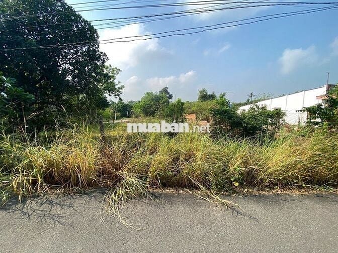 Bán Gấp Lô Đất Tại Tân Định Bến Cát 700m2 Thổ Cư 320m Nhựa 7m Giá Ngộp