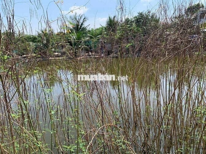 Bán Đất Nông Nghiệp + Gần Đường 4B, Đa Phước, Bình Chánh, TP. HCM