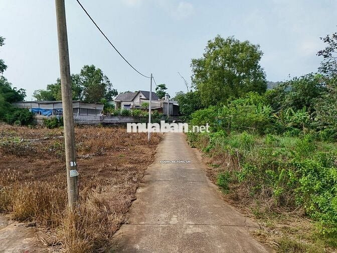 - Bán 5.5m hoặc 8m mặt tiền Bê Tông 5m, nhánh đường 23, Nghĩa Thành.