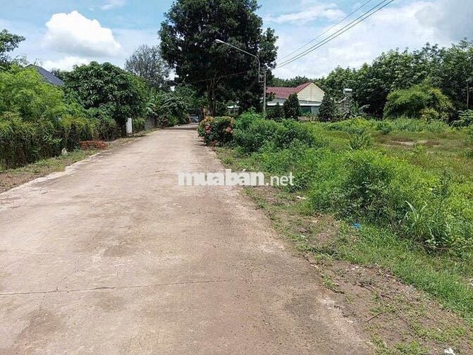 Mặt Tiền Đường Nhựa DH519 Cần Bán