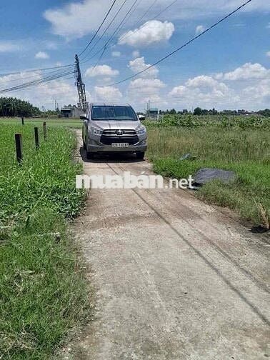 🌿🌿 GIẢM GIÁ SÂU 395 TRIỆU – THỔ CƯ GIÁ RẺ LẠC TẤN, TÂN TRỤ – LONG AN 📍