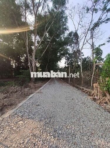 Chính chủ bán đất 6473m² ngang 72m giá 9.8 tỷ Xã Phước Thạnh