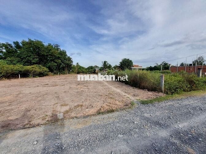 1000m2 gần nhựa, gần KCN. Gần nút cao tốc. Chỉ 750tr. TL mạnh